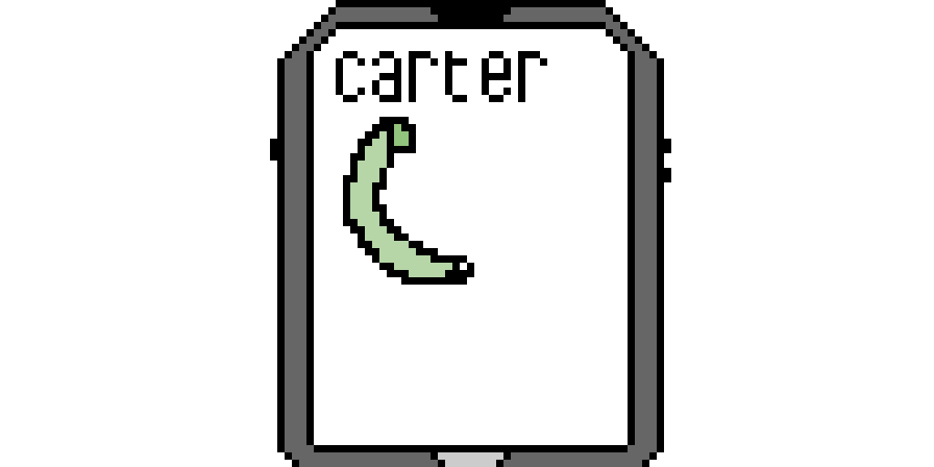 face time with Carter