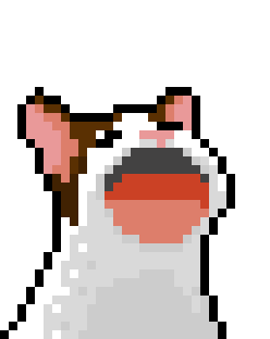 pop cat gets cool shades