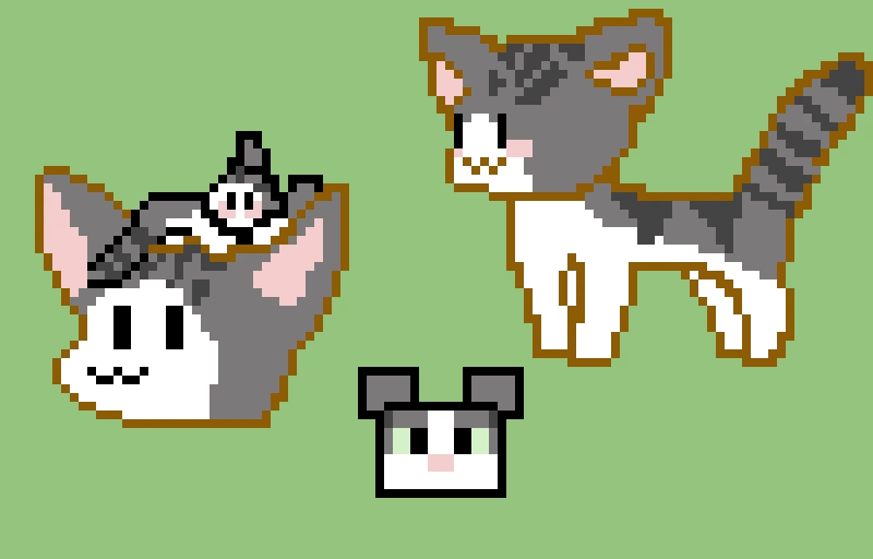 a jellie memorial rip