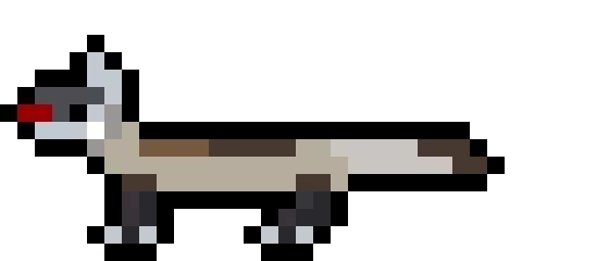 ferret squirrel