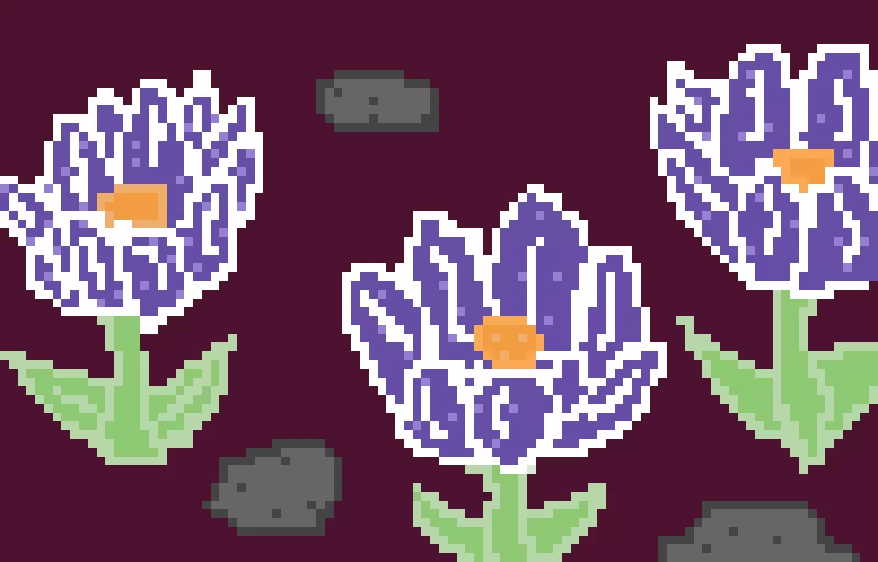 i made spring crocrus