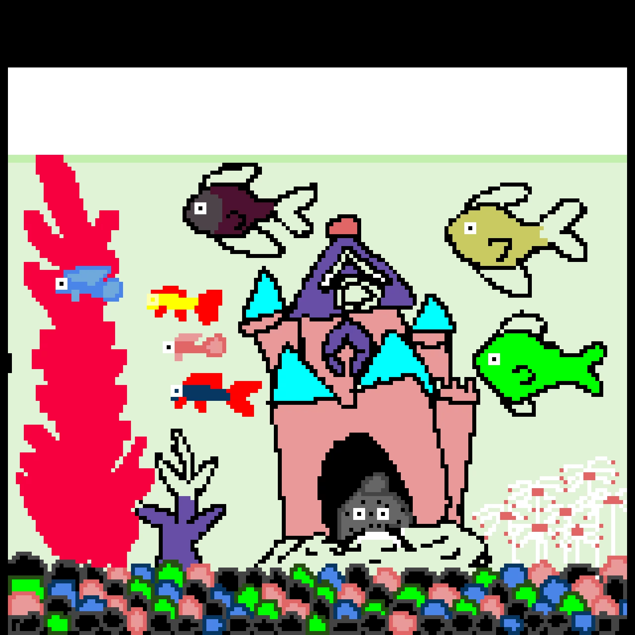 my fishes pet contest