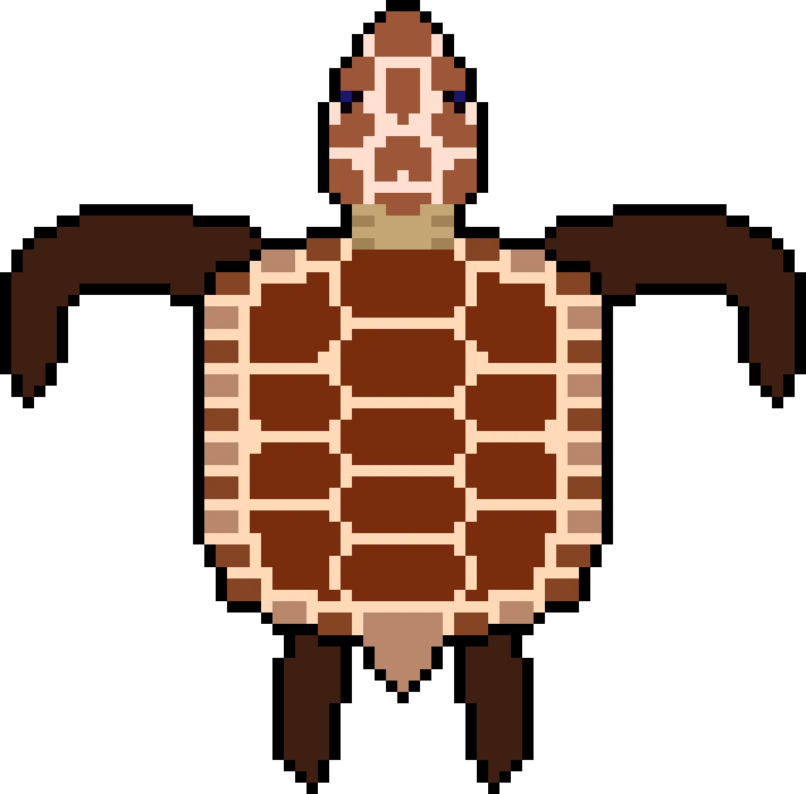 sea turtle but different