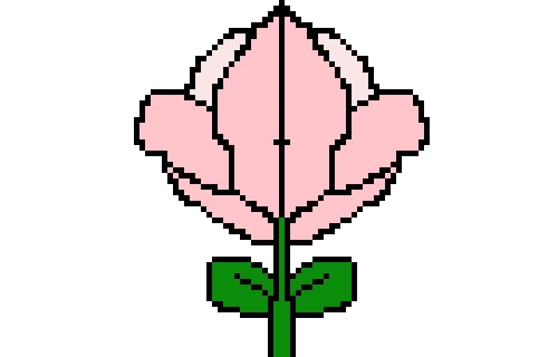 light pink rose