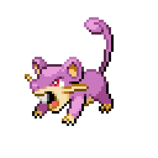 rattata