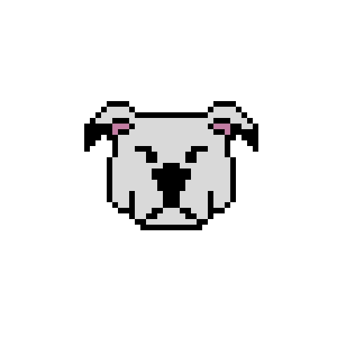 paco my old dog a pitbul