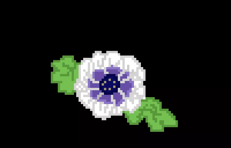 anemone-flower