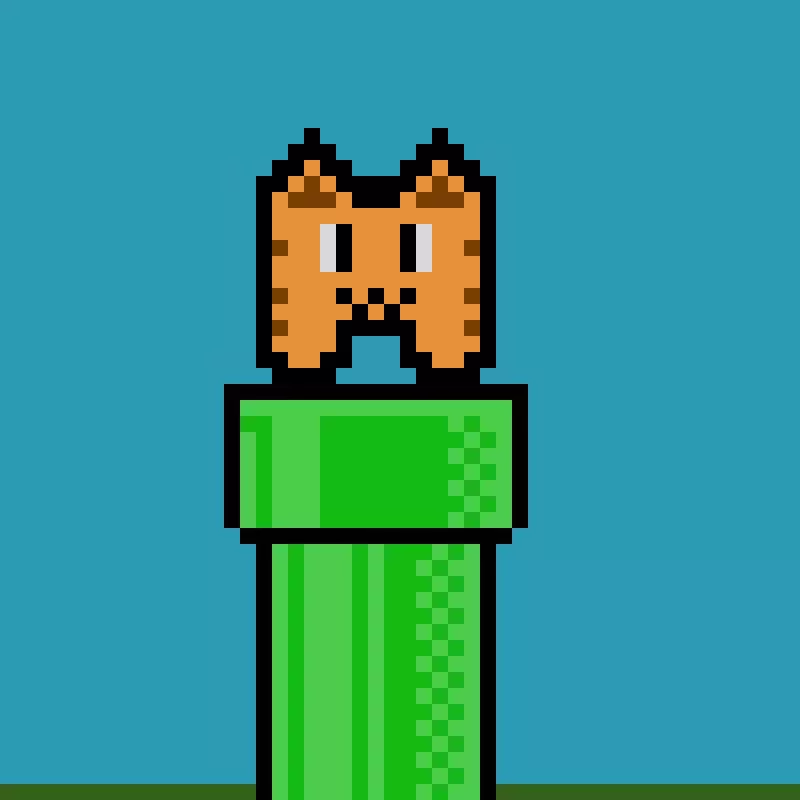 cat from pipe challenge by only 1 way