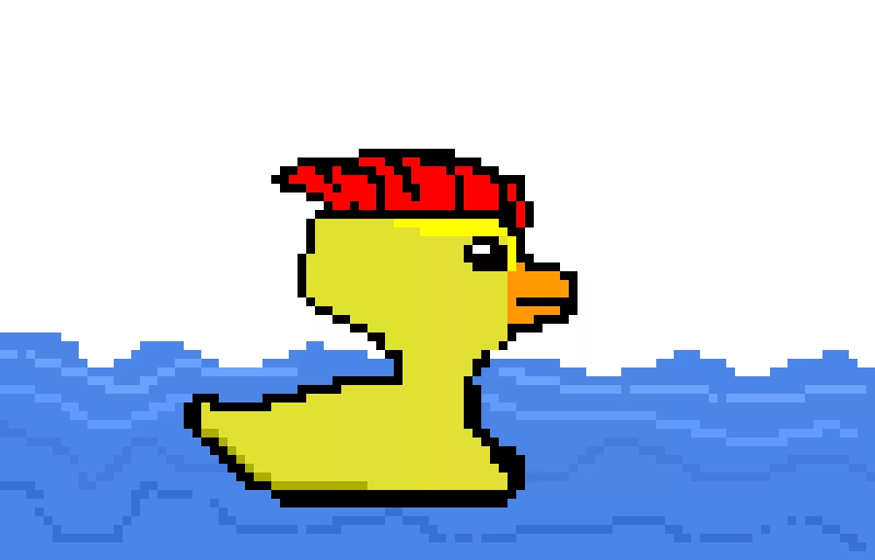 duck