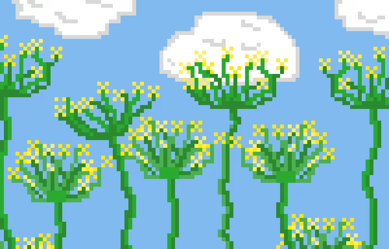 i was bored so i give you guys dill flowers