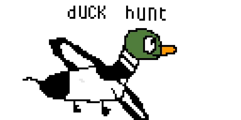 duck hunt contest