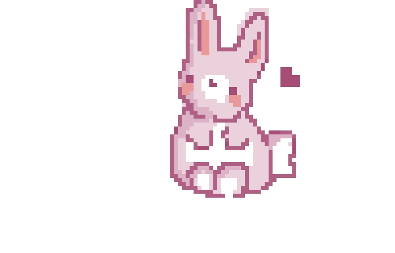 little bunny d
