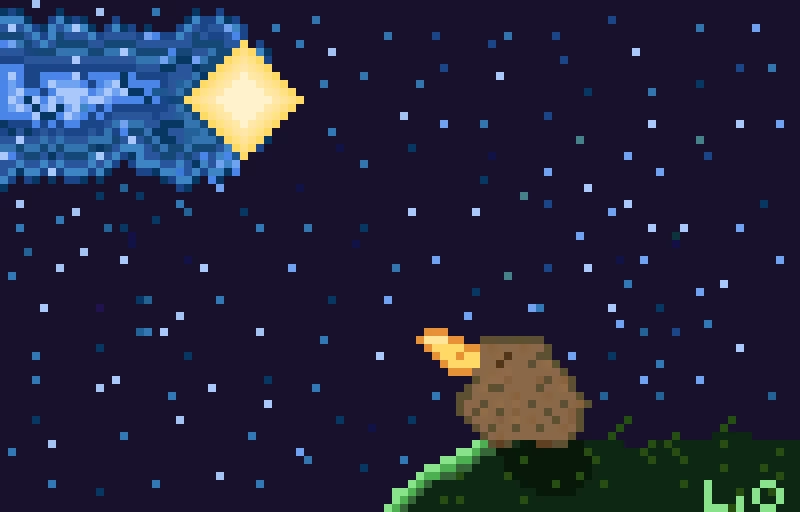 kiwi looking at the starry night