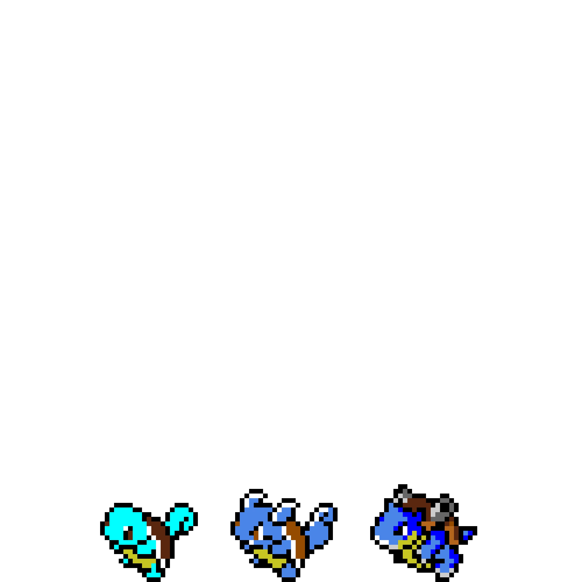 Squirtle evolution line (contest)