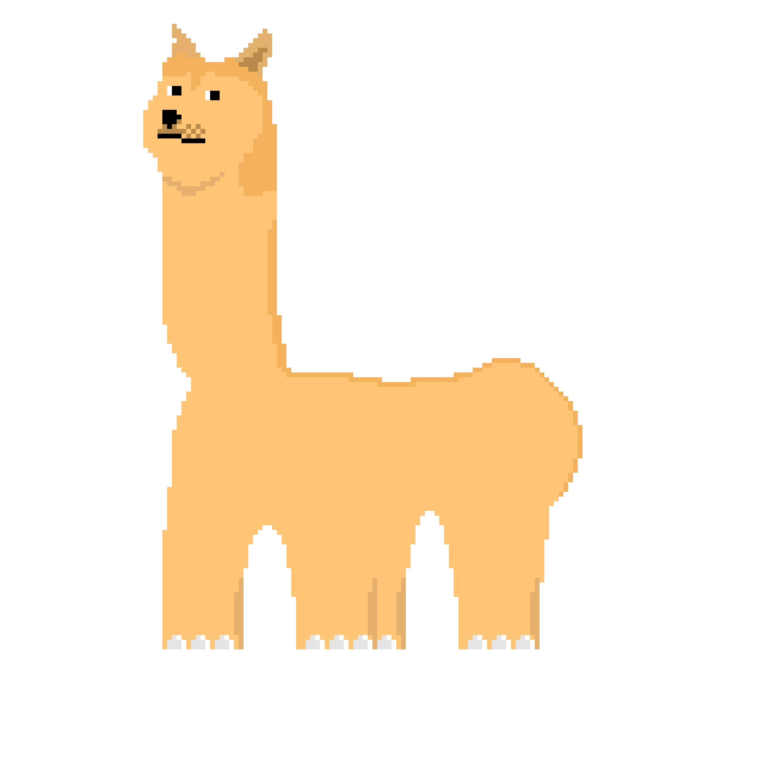 doge asaurus