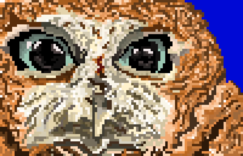 who who i am new hi hello