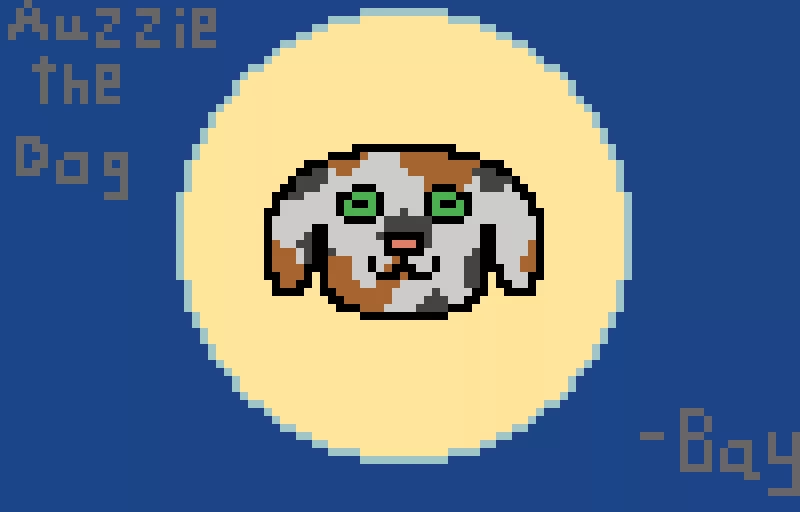 Auzzie the doggy