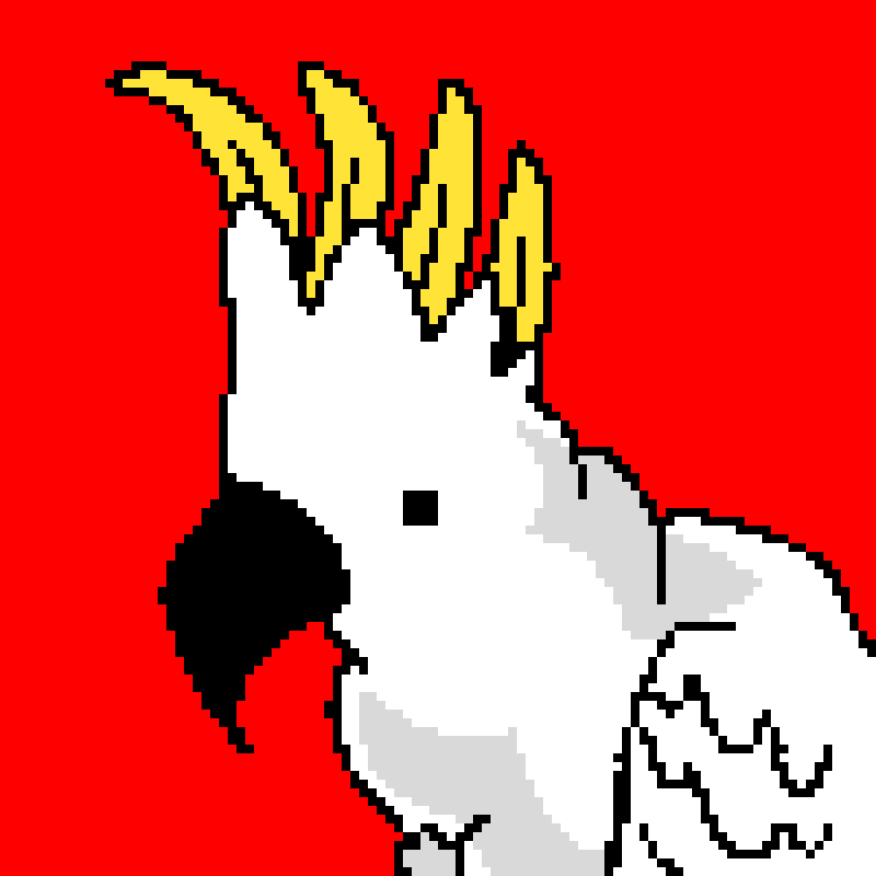 dance dance (contest)