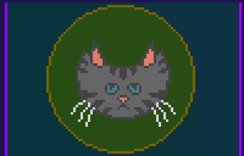 gray tabby profile pic