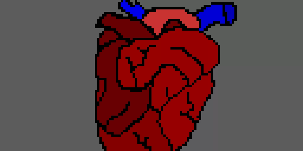 heart