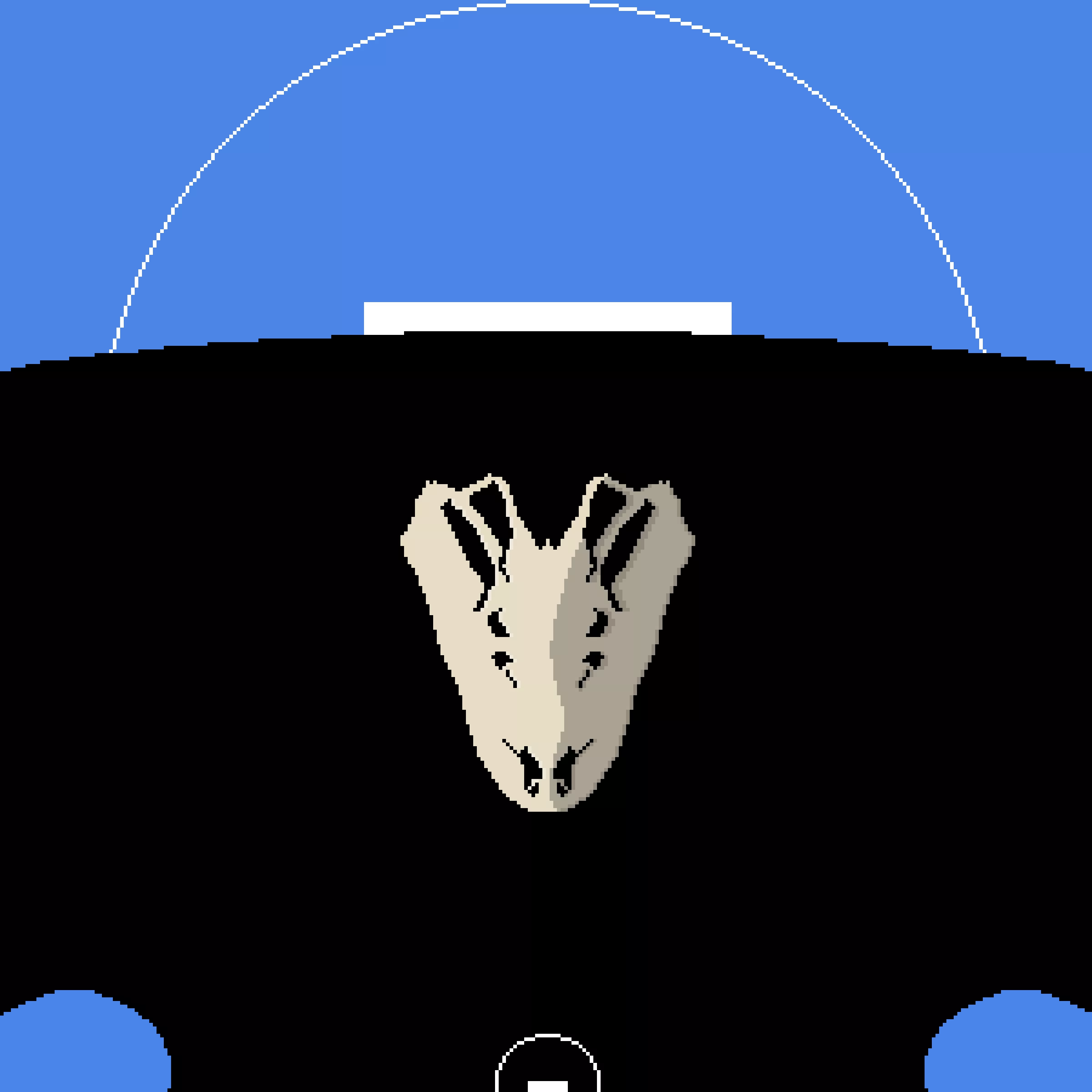 i-will-most-likely-change-how-it-looks-and-make-it-so-you-can-see-the-actual-body-of-the-bird