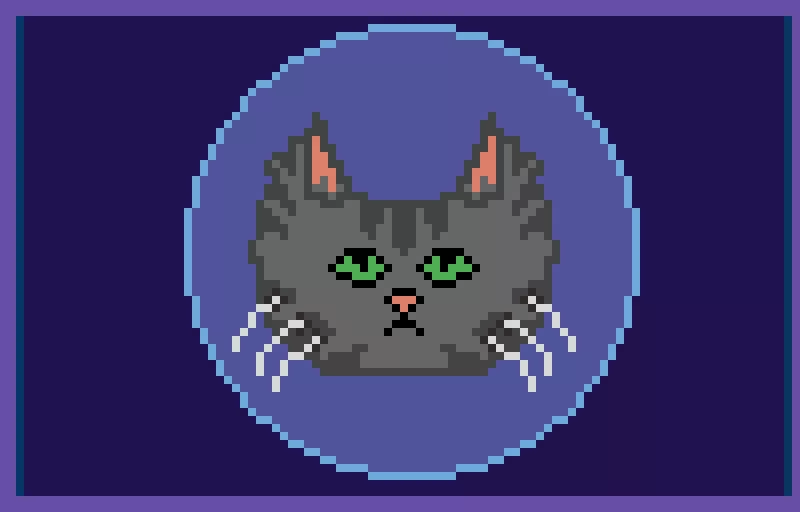 maine coon profile pic