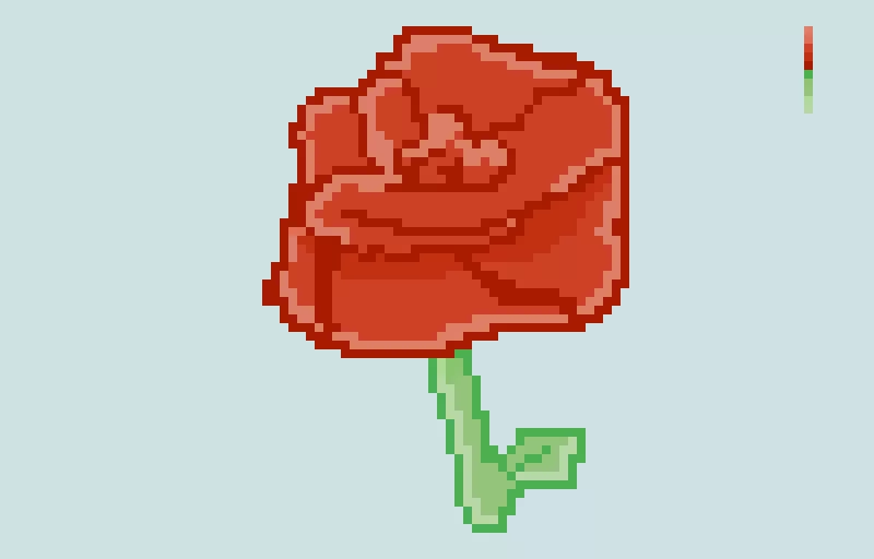 rose-bud