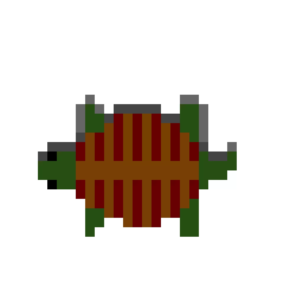 turtle-contest