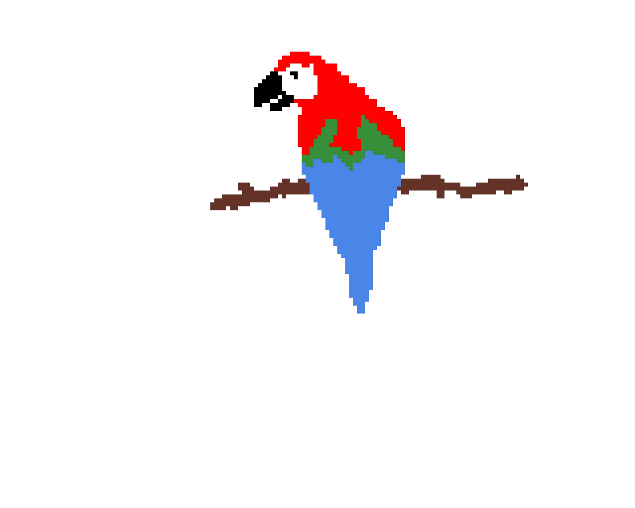 macaw