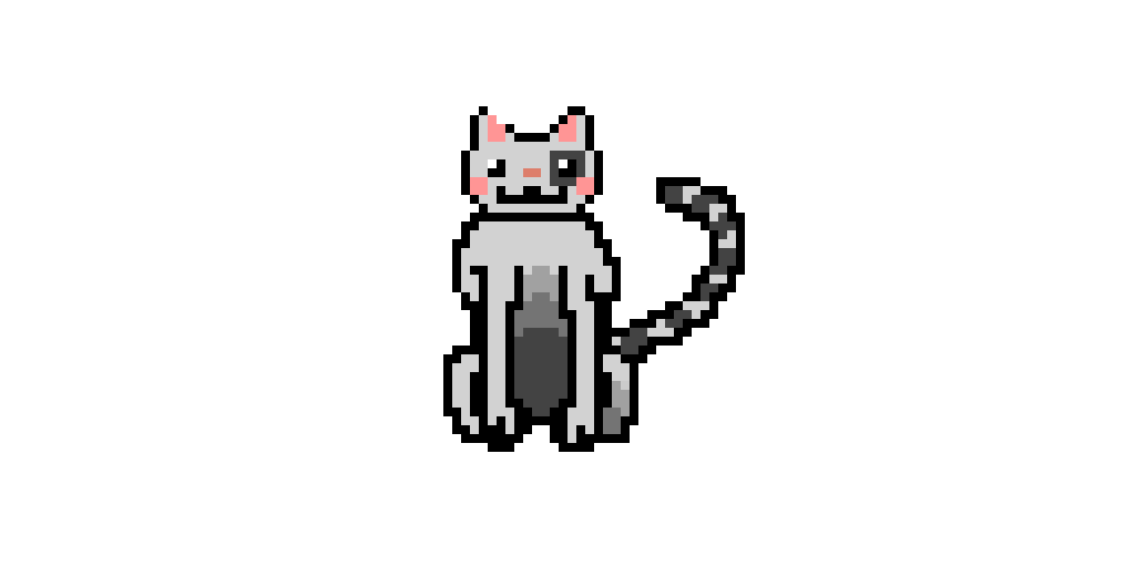 gray street cat