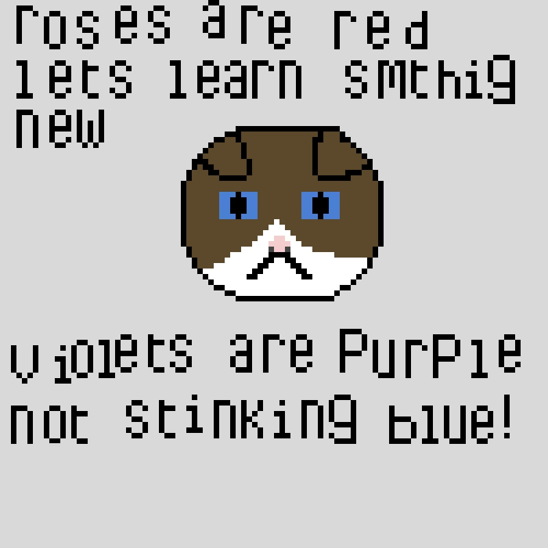 grumpy cat meme contest