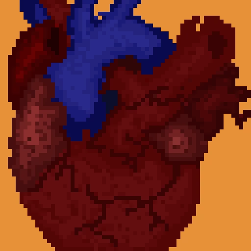 human heart