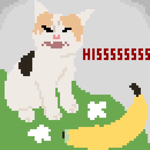 cat no liek banan gt last piece for contest