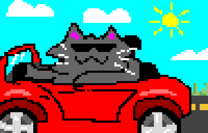 cat riding awsome car