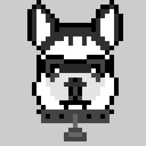 husky choose a name for him lt 3 lt 3