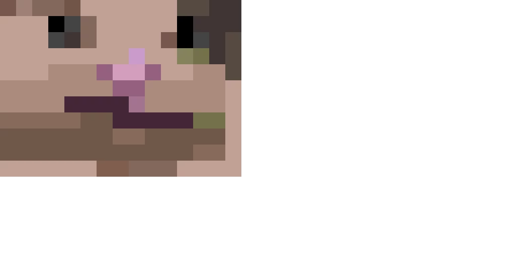 beluga-face-i-did-ok