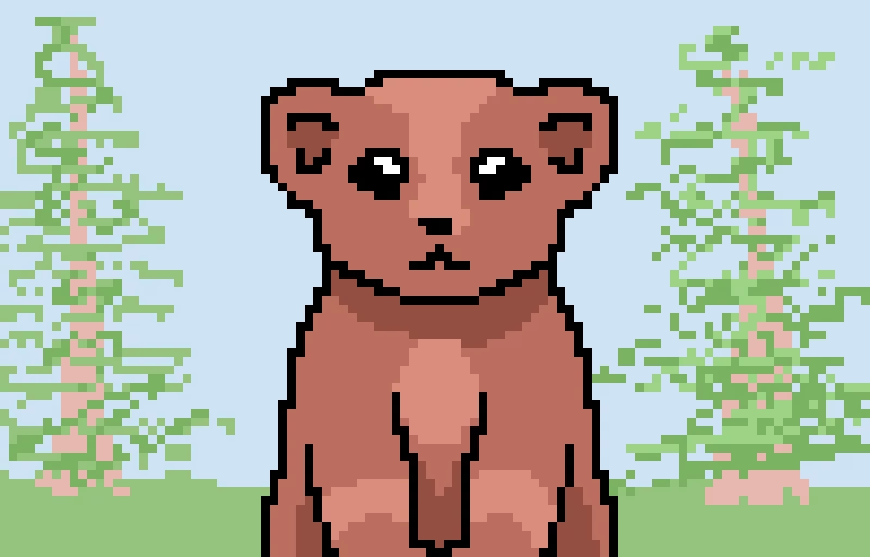 bear