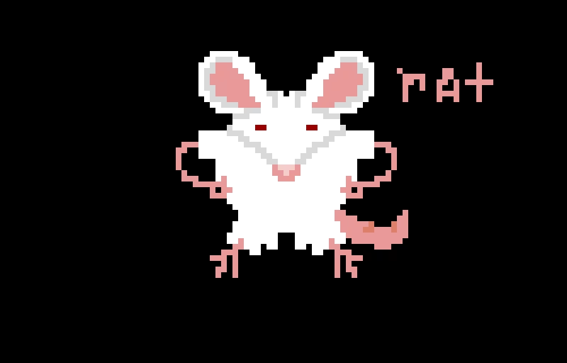 rat:}