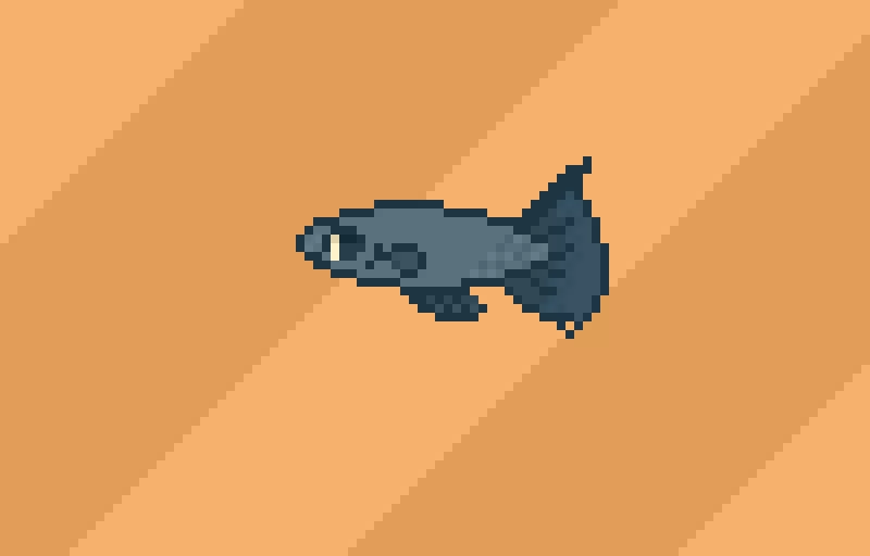 my-new-computer-background