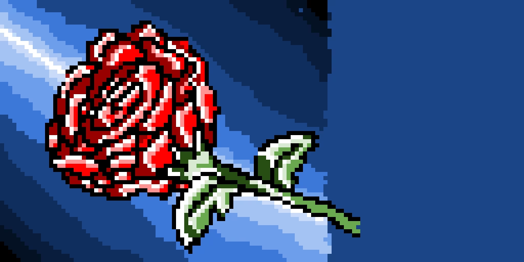 this is a rose