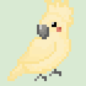 Cockatiel