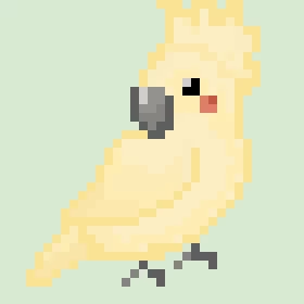 cockatiel