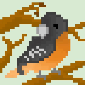 oriole