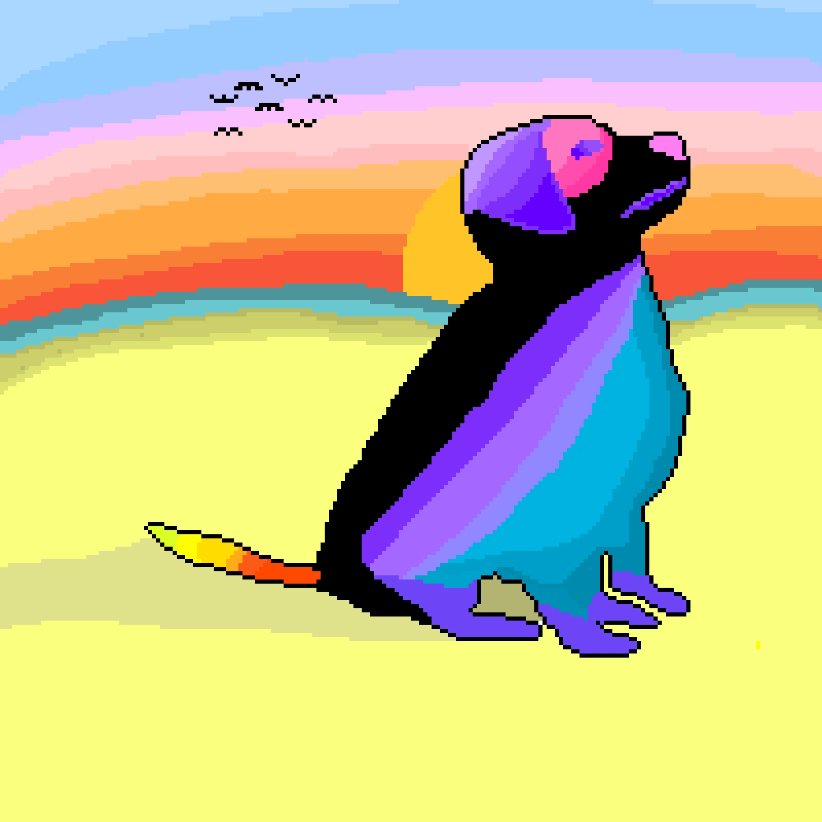 colorful dog at the beach