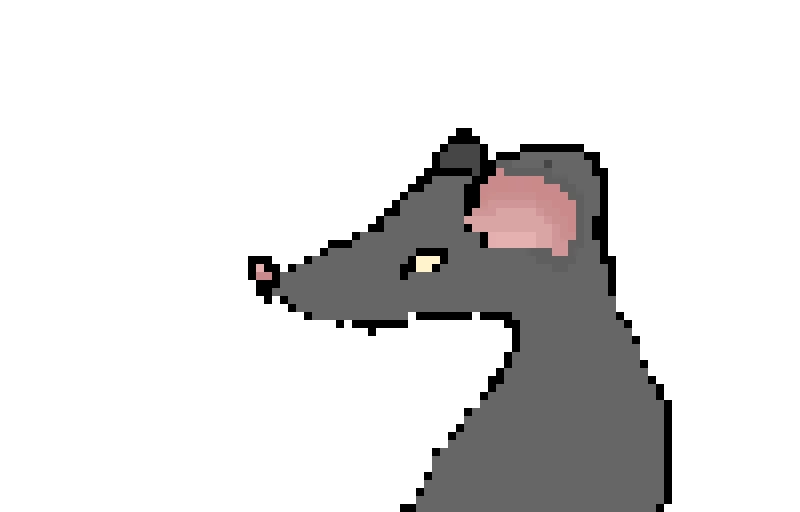 RATS WE&rsquo;RE RATS WE&rsquo;RE THE RATS