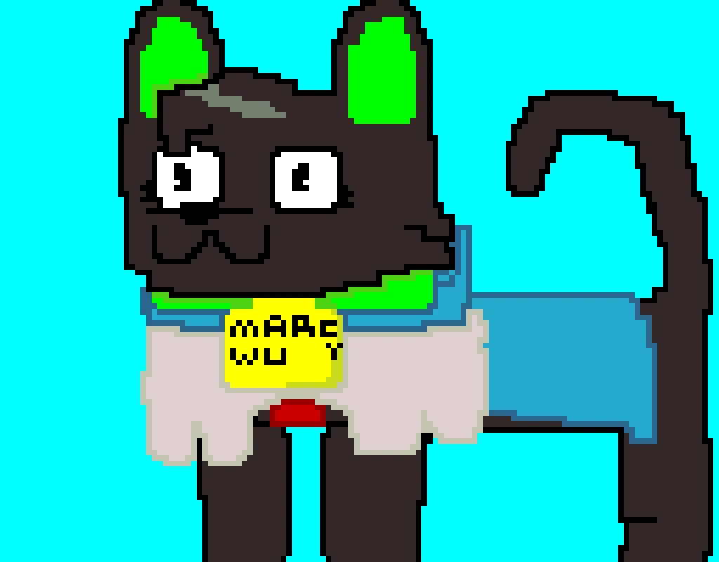 marcy wu cat profile pic