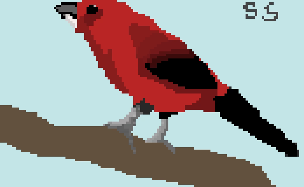 brazilian tanager by s stan 779926