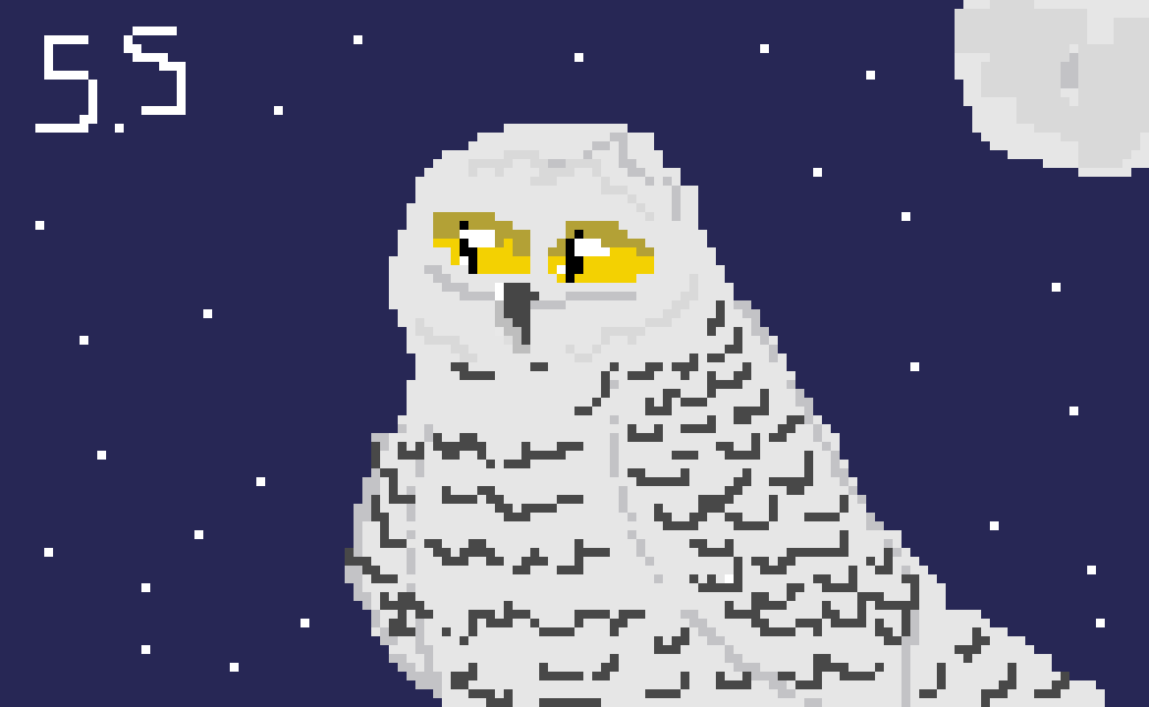 Snowy Owl (By S.Stan / 779926)