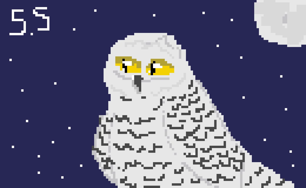 snowy owl by s stan 779926