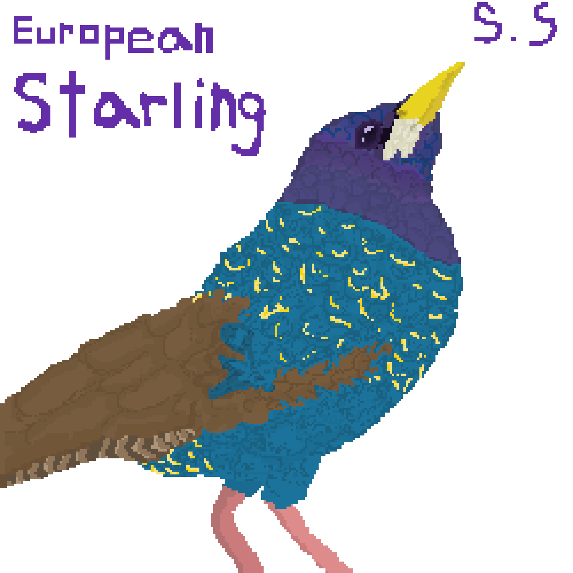 European Starling (By S.Stan / 779926)